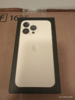 iPhone 13 Pro (1 TB Gold)