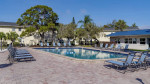 Outdoor swimming pool area with lounge chairs surrounded by palm trees at The Drake apartments in St. Petersburg, FL.