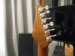 Soloking MS-1 custom