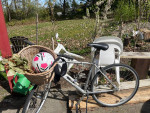 4 bikes for sale (CCM, MARIN,)