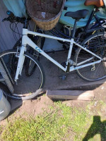 Liv Alight Large Frame Hybird Bike 21 Spd O.B.O
