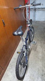 Folding Bicycle