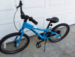 TREK PreCaliber  20in Blue, Age 6-11