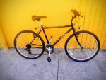 1989 Specialized Hardrock 21-Speed (18" frame)