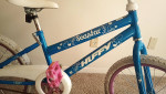 SeaStar Bike for Girls