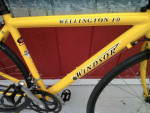 Windsor racing road bicycle