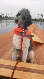 Hand Built Wooden Dory 17ft. Row Boat