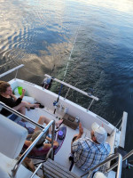 Bayliner 2850 Contessa