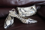 Collection: Chicos Ecco Talbots tops, skirts, high quality,bags