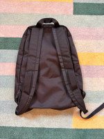 Daylight Backpack - Tom Bihn
