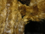 Vintage Mandel Brothers Furriers, Chicago Marmot Fur Coat
