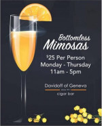 Bottomless Mimosas (Free Admission)