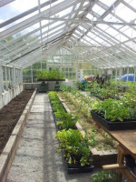 Green house for sale.. green house for growing vegetables and fruits..