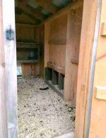 CHICKEN COOP AND HENS FOR SALE