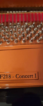 Concert grand I