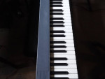 Studiologic 88 Note Lightweight Midi Controller Keyboard