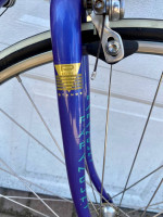 Schwinn Paramount series 7 PDG