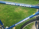 Schwinn World Sport Road Bike w/ 53 cm frame