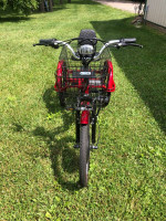 Adult EWheels Electric Trike Brand New Free Delivery