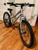 Specialized Hotrock 24 8-speed kids mountain bike in excellent condition