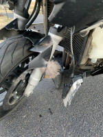 2015 FJR damaged - deer strike