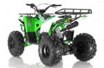 NEW APOLLO 125CC LARGE SIZE KIDS UTILITY ATV-BRAND NEW! BEST WARRANTEE