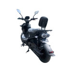 Armada Recon Electric NO TAX (no license needed)