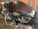 2008 Harley Davidson Sportster 1200